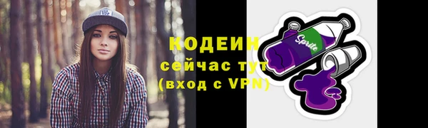 прущие крисы Няндома