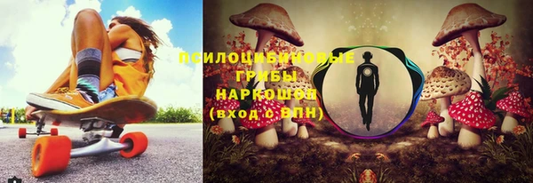 мет Новозыбков