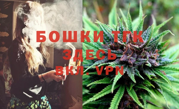 прущие крисы Няндома