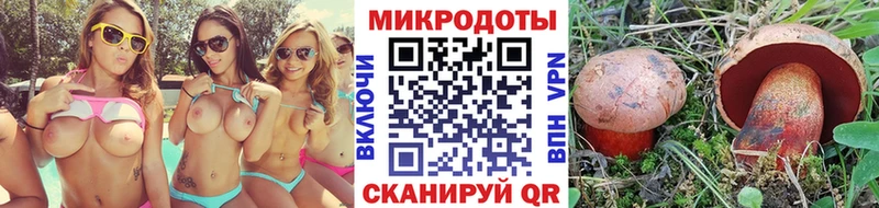 Псилоцибиновые грибы Cubensis  купить наркоту  Нижняя Тура 